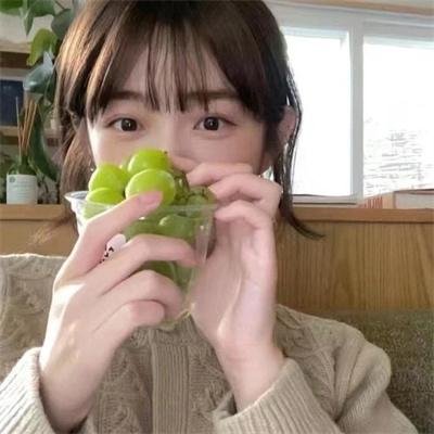 灵域第二季